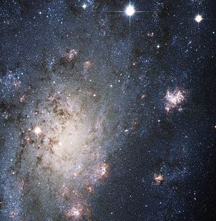 NGC 2403HST.jpg