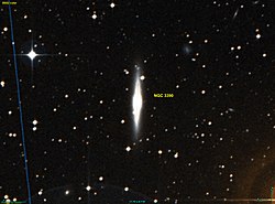 NGC 3390 DSS.jpg