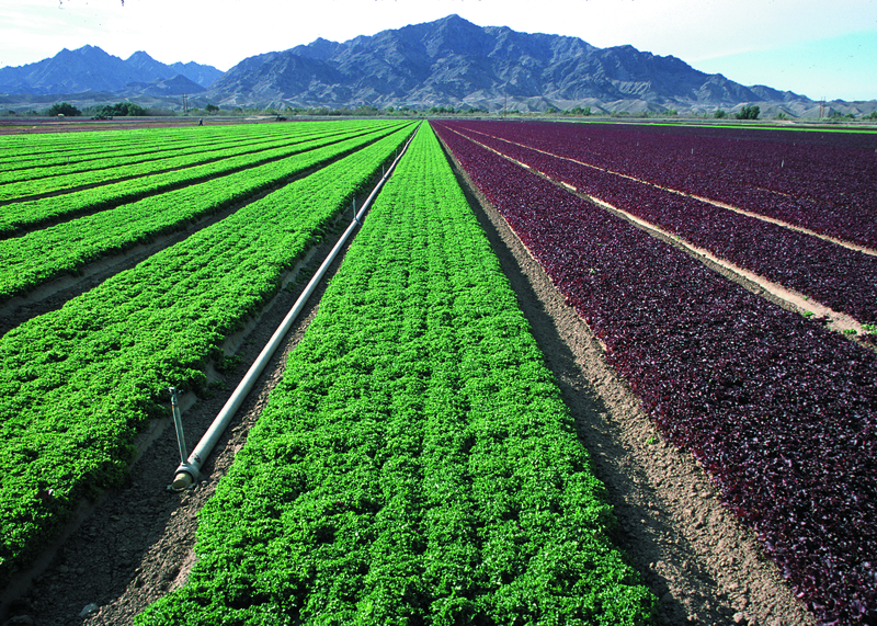 File:NRCSAZ02047 - Arizona (377)(NRCS Photo Gallery).tif