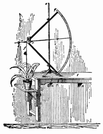 An auxanometer, a device for measuring increase or rate of growth in plants