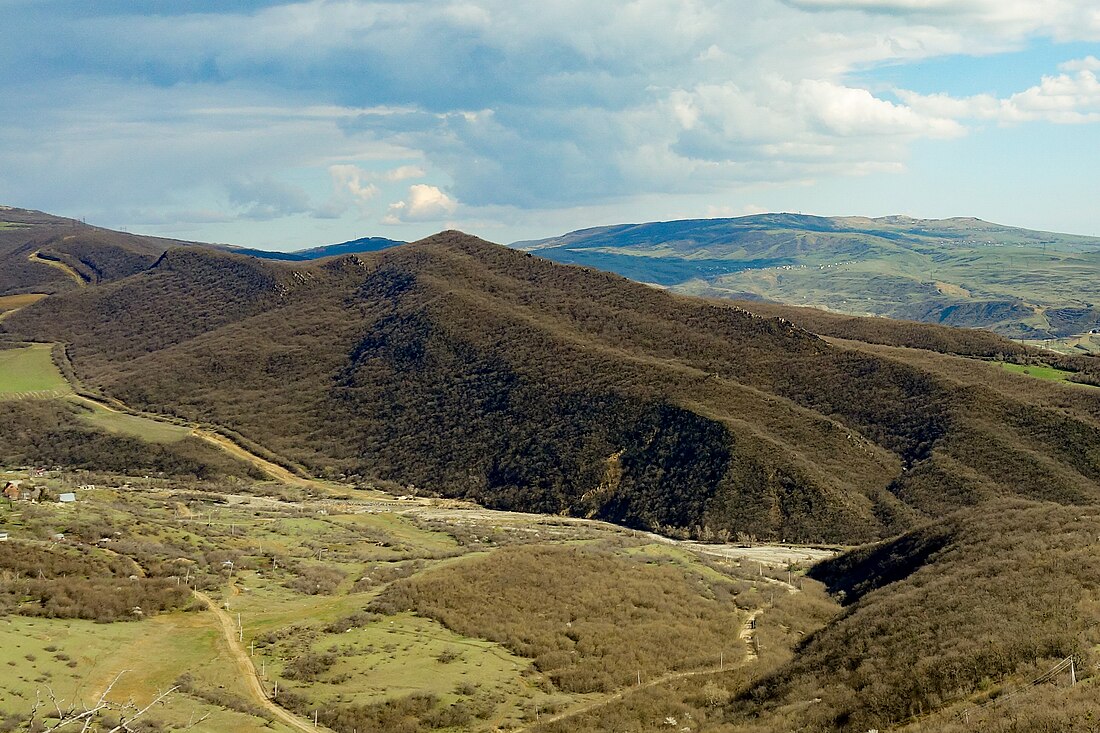 ნასერალი