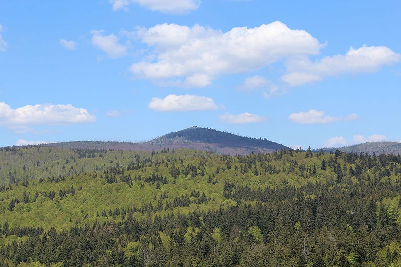 File:Nationalpark Bayr. Wald Lusen.jpg