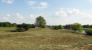 Meppener Kuhweide, rechts im Bild die Ems