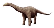 Life restoration Neuquensaurus restoration.jpg