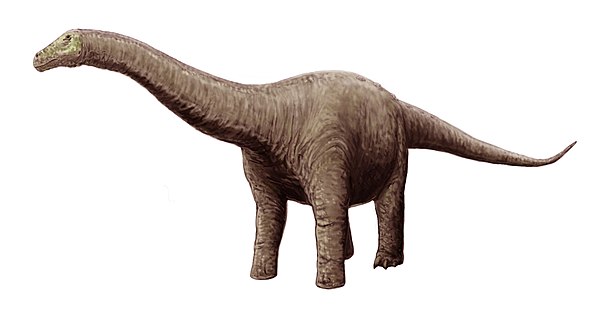 Image: Neuquensaurus restoration