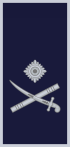 New Zealand Police OF-7.svg