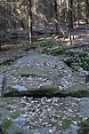 Nusbaumer Menhirs - lying menhir