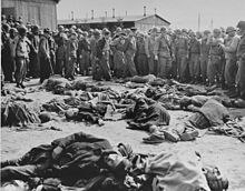 General Eisenhower inspecting prisoners' corpses at a liberated concentration camp, 1945 Ohrdruf Eisenhower 04649.jpg