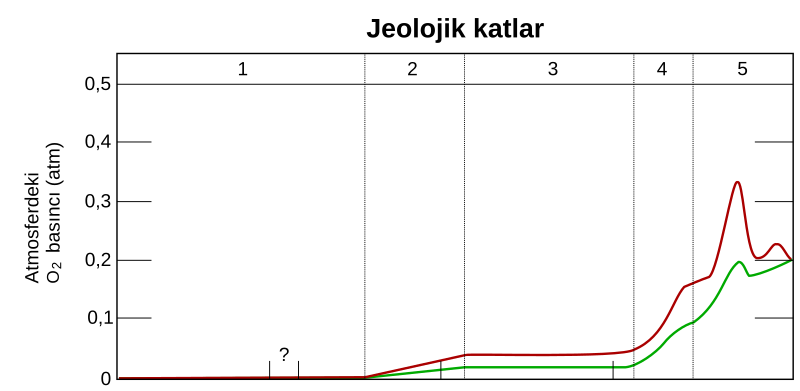 File:Oksijenasyon-atm-tr.svg