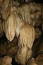 Oregon Caves National Monument.