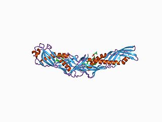 <span class="mw-page-title-main">Lipid-binding serum glycoprotein</span>