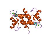 PDB 1e8a EBI.jpg