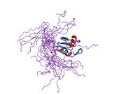 PDB 1wf1 EBI.jpg