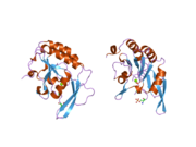 2ghq: CTD-specific phosphatase Scp1 in complex with peptide C-terminal domain of RNA polymerase II