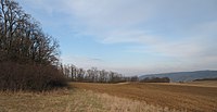 Čeština: Louka na hranici přírodní památky Voškov. Okres Beroun, Česká republika. English: Meadow near to the natural monument Voškov, Beroun District, Czech Republic.