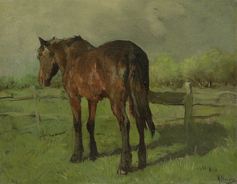 File:Paard Rijksmuseum SK-A-2435.jpeg