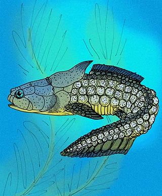 <i>Palaeacanthaspis</i> Extinct genus of fishes