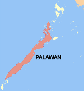 <span class="mw-page-title-main">Palawan (island)</span>