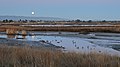 * Nomination Dawn, Baylands Nature Preserve, Palo Alto. --King of Hearts 04:46, 22 May 2020 (UTC) * Promotion  Support Good quality. --MB-one 12:43, 29 May 2020 (UTC)