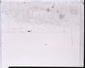 Paolo Monti - Serie fotografica - BEIC 6346501.jpg