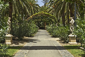 Palm trees in the Parque Central