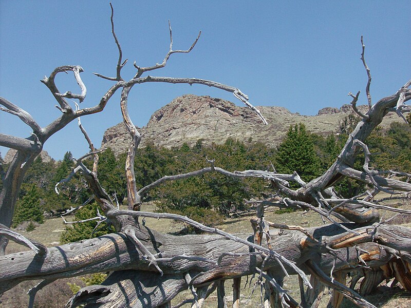 File:Peak X, southern outcropping, Kenosha Mtns.jpg