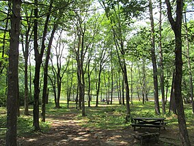 Mutiara Bukit State Park, Townsend MA.jpg