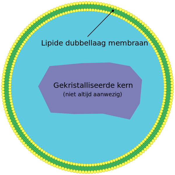 File:Peroxisome nl.svg