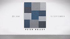 Peter Halley solo show announce.jpg