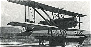 <span class="mw-page-title-main">Piaggio P.6</span> Type of aircraft