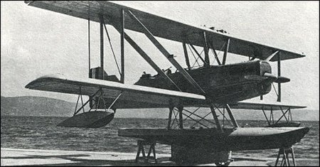 Piaggio_P.6