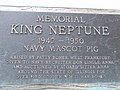 Thumbnail for King Neptune (pig)