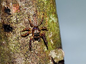 Popis tohoto obrázku, také komentován níže