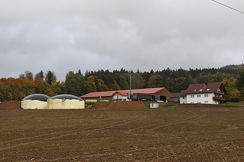 Polster (Schönsee)