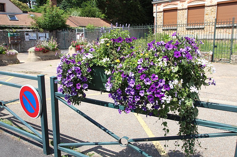 File:Pots de fleurs devant l'école élémentaire du Petit Muce de Forges-les-Bains le 15 juillet 2016 - 1.jpg