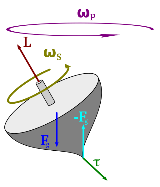 The torque caused by the normal force – Fg and the weight of the top causes a change in the angular momentum L in the direction of that torque. This causes the top to precess.