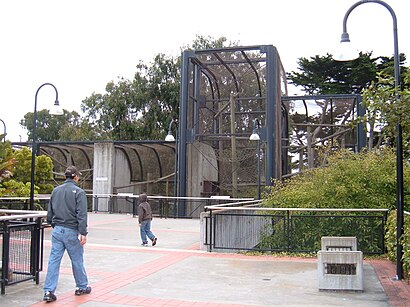 How to get to San Francisco Zoo with public transit - About the place