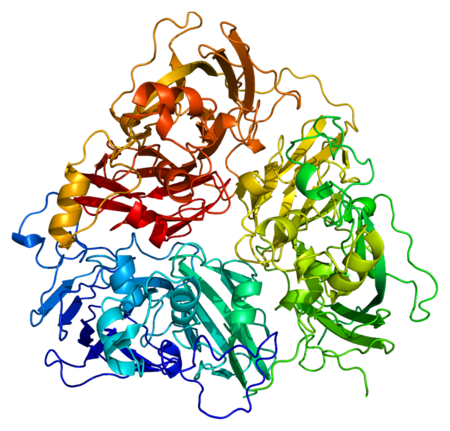 Protein CP PDB 1kcw.png