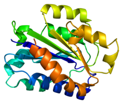 Protein ITGAX PDB 1n3y.png