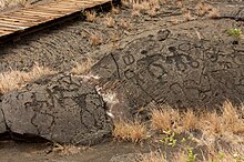 Quelques-uns des pétroglyphes de Puʻu Loa le long du littoral Pacifique.