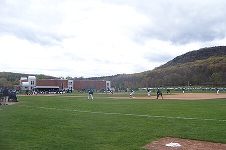 Quinnipiac University baseball 2010