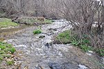 Miniatura para Río Fortes