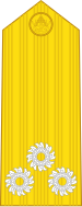 ไฟล์:RTN OF-8 (Vice Admiral).svg