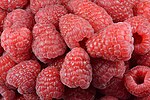 覆盆子 Red raspberry