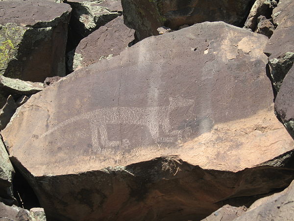This petroglyph of a Mountain Lion appears along the upper section of the Red Dot trail.