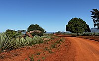 Red soil landscape, Mnyenzani Ward, Mkinga District, Tanga.jpg