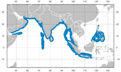 Redtail Butterflyfish Chaetodon yoqa tarqatish map.png