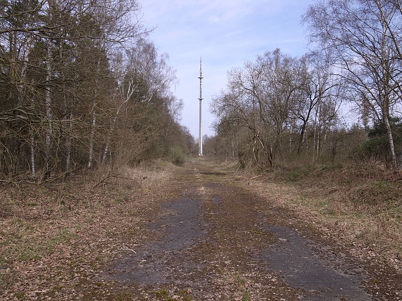 File:Rennstrecke Dessau, ehemalige Verbindungsstraße zwischen Dessau und Wolfen (2).jpg