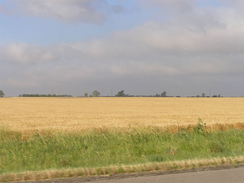 File:Rice County P5310409.JPG