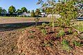 * Nomination Richmond Community Garden, Richmond --Podzemnik 08:21, 11 August 2020 (UTC) * Promotion  Support Good quality. --Poco a poco 20:07, 11 August 2020 (UTC)